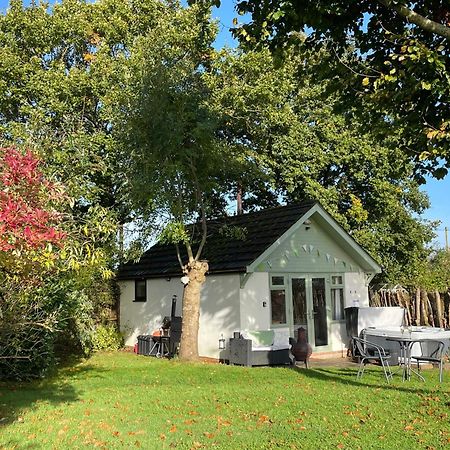 Pheasant Lodge Wimborne Minster Exteriör bild