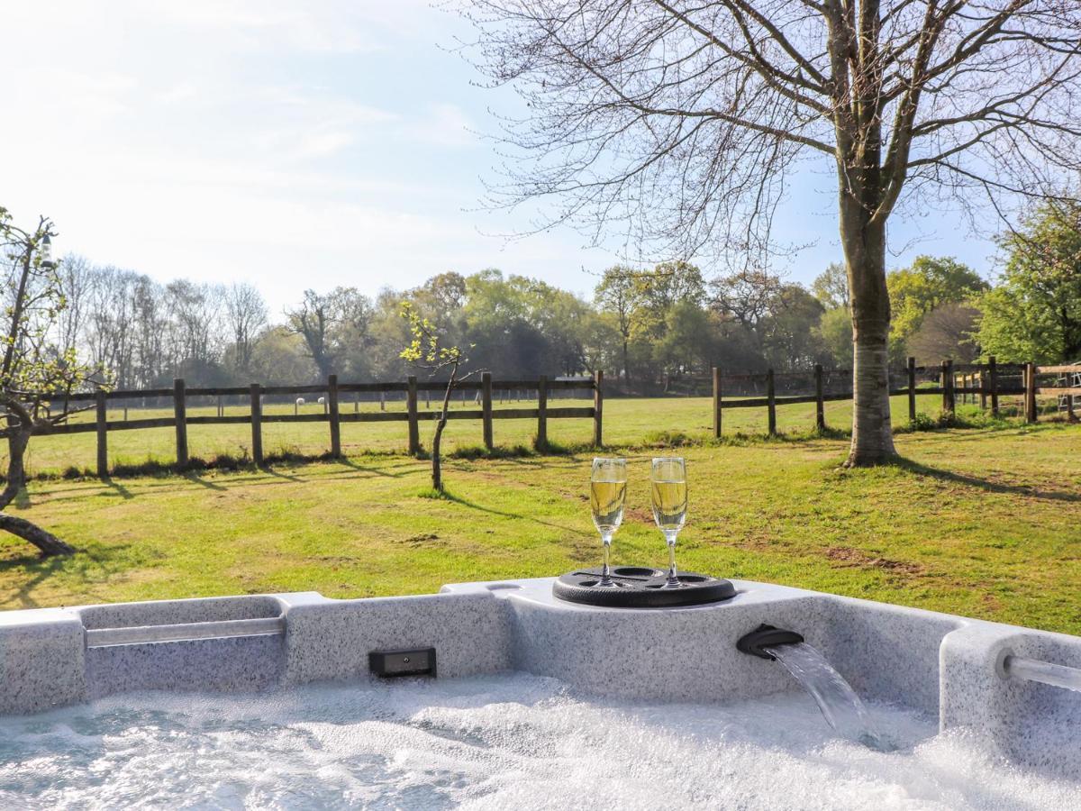 Pheasant Lodge Wimborne Minster Exteriör bild
